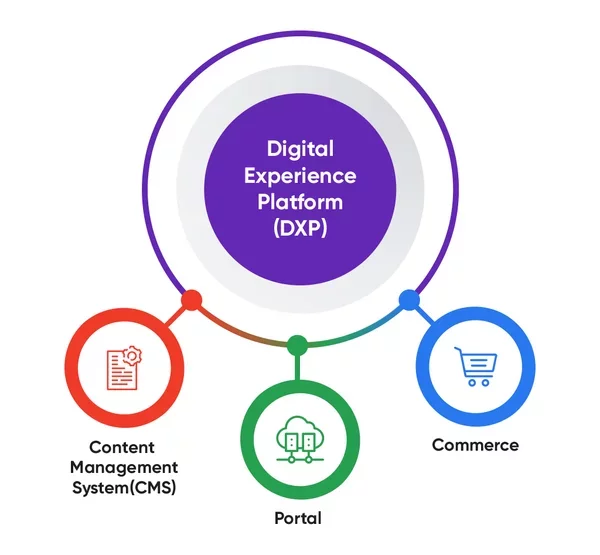 DXP to automatyzacja cms, portalu i e-commerce