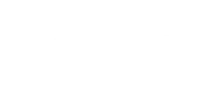 Logo Seagull w wersji białej