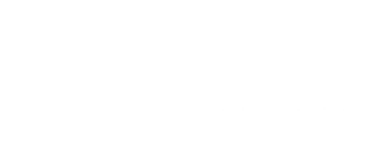 Flowair Logo białe