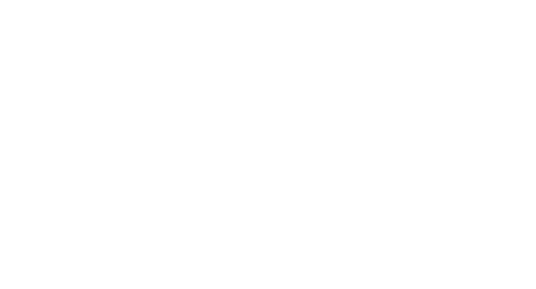 VTS Logo